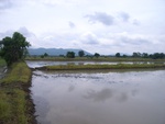 21406RIMG0136.JPG