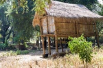 43647pic4.jpg