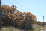 2022-10-31_16-34-07_51845014-EEA7-42B9-8994-50579F55E9C8.jpeg