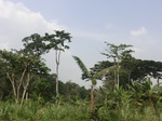49728CIMG6065.JPG