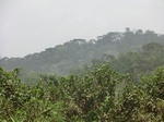 49053CIMG5390.JPG