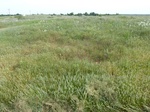 54078WASH20120507GPS.JPG