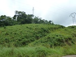 20229P1020084.JPG