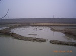 3425 077.jpg