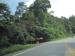 33512IMG_5759.JPG