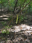 2024-11-29_05-41-32_2012-09-24_10-40-14_DSC03124.JPG