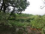 33052CIMG2286.JPG