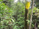 50188DSC01987.JPG