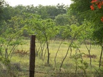 1796527042008(95).JPG