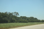 2024-06-17_21-39-29_11216A3C-2AF5-4EA2-817B-AA88D7572B54.jpeg