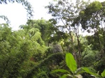 14647IMG_5028.JPG