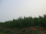 32817CIMG1949.JPG
