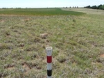 29262HINT20110418S.JPG