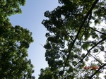 53272CIMG6526.JPG