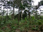 46591CIMG0880.JPG
