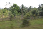 2024-10-10_16-55-56_B32E7979-AA2E-46E3-B5DE-5697B0F32161.jpeg