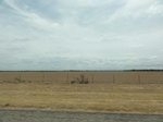 36073DSC02793.JPG