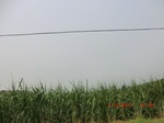 32938CIMG2083.JPG