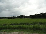 22128DSC00370.JPG