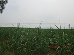 33106CIMG2341.JPG