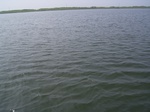 554R0015100.jpg