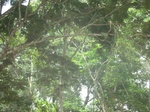 48334CIMG4671.JPG