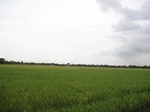 15687IMG_4763.JPG