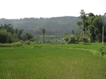 15141IMG_3961.JPG