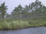 1305R0015102_small.jpg