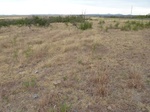 39285RETR20110907S.JPG