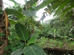 45284CIMG2369.JPG