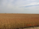 29706CIMG1005.JPG