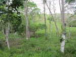 31982IMG_5595.JPG