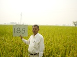 11415gt189-cropland-1.jpg