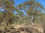 2012-08-28_20-34-46_P1010136.jpg