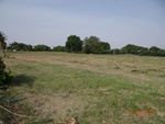 52219Tank ID 1800107 Thimmammanahalli 3.JPG