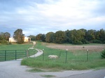 32365p97_s.jpg