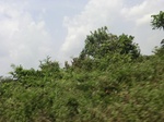 49556CIMG5893.JPG