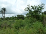 18202P1000038.JPG