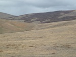 22794P1020016.JPG