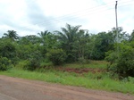 21038P1020909.JPG