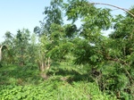 19417P1010264.JPG