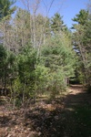 181IMG_4077.JPG