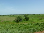 19518P1010365.JPG