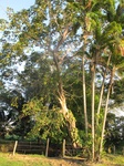 31921IMG_5710.jpg