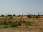 18983P1000827.JPG