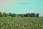 2024-08-05_14-21-45_41225341-B520-4974-AC8B-6264BB5CAF08.jpeg