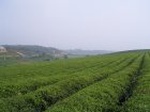 1203R0015051_small.jpg