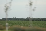 2024-08-05_16-09-03_26D7C0F0-144C-4B99-9303-5633B9D66084.jpeg