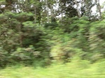 47487CIMG3824.JPG